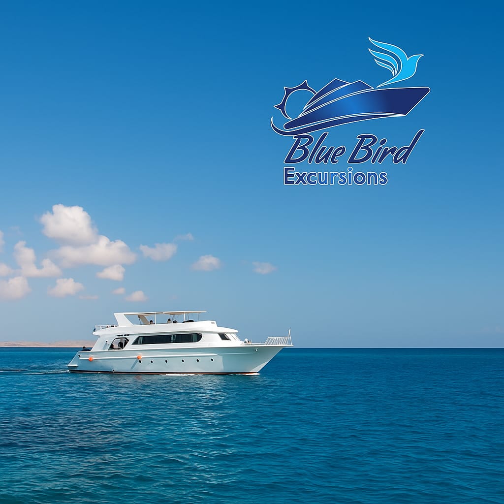 صورة الرحلة