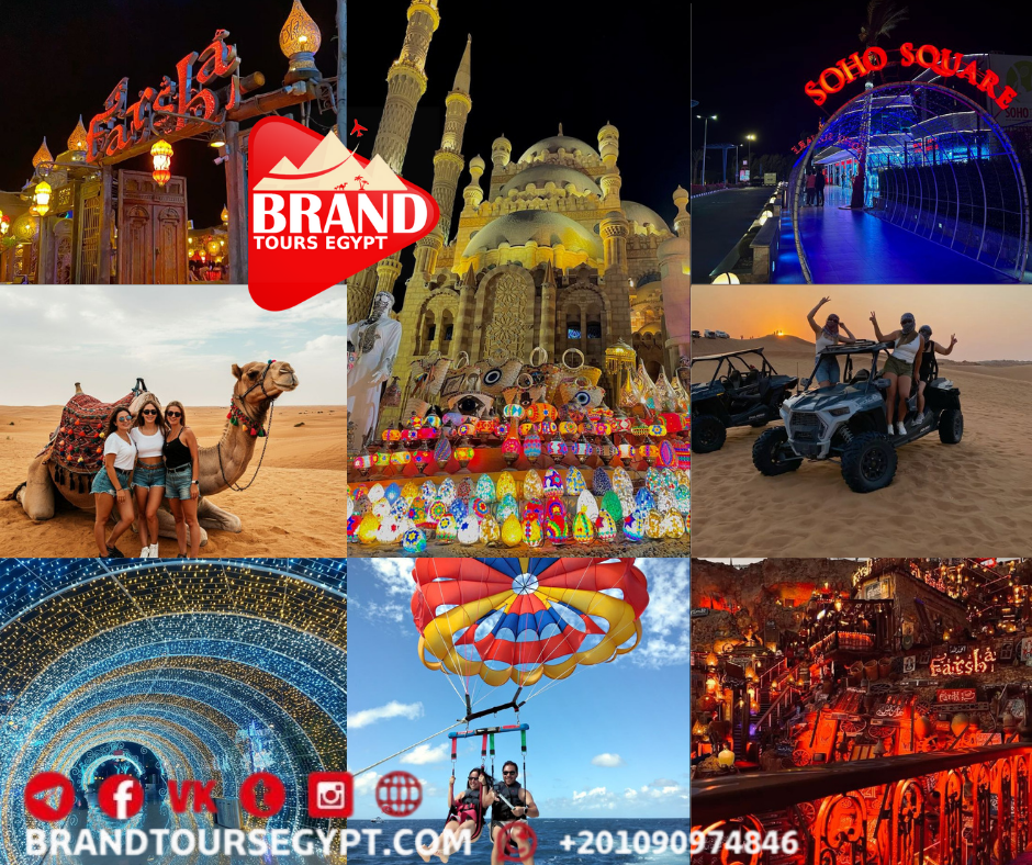 صورة الرحلة