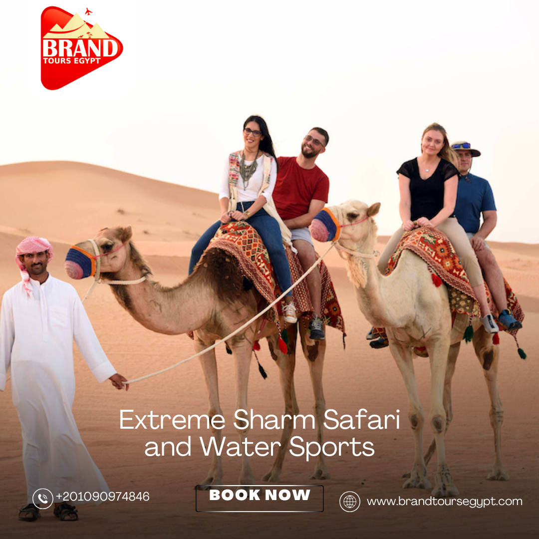 صورة الرحلة