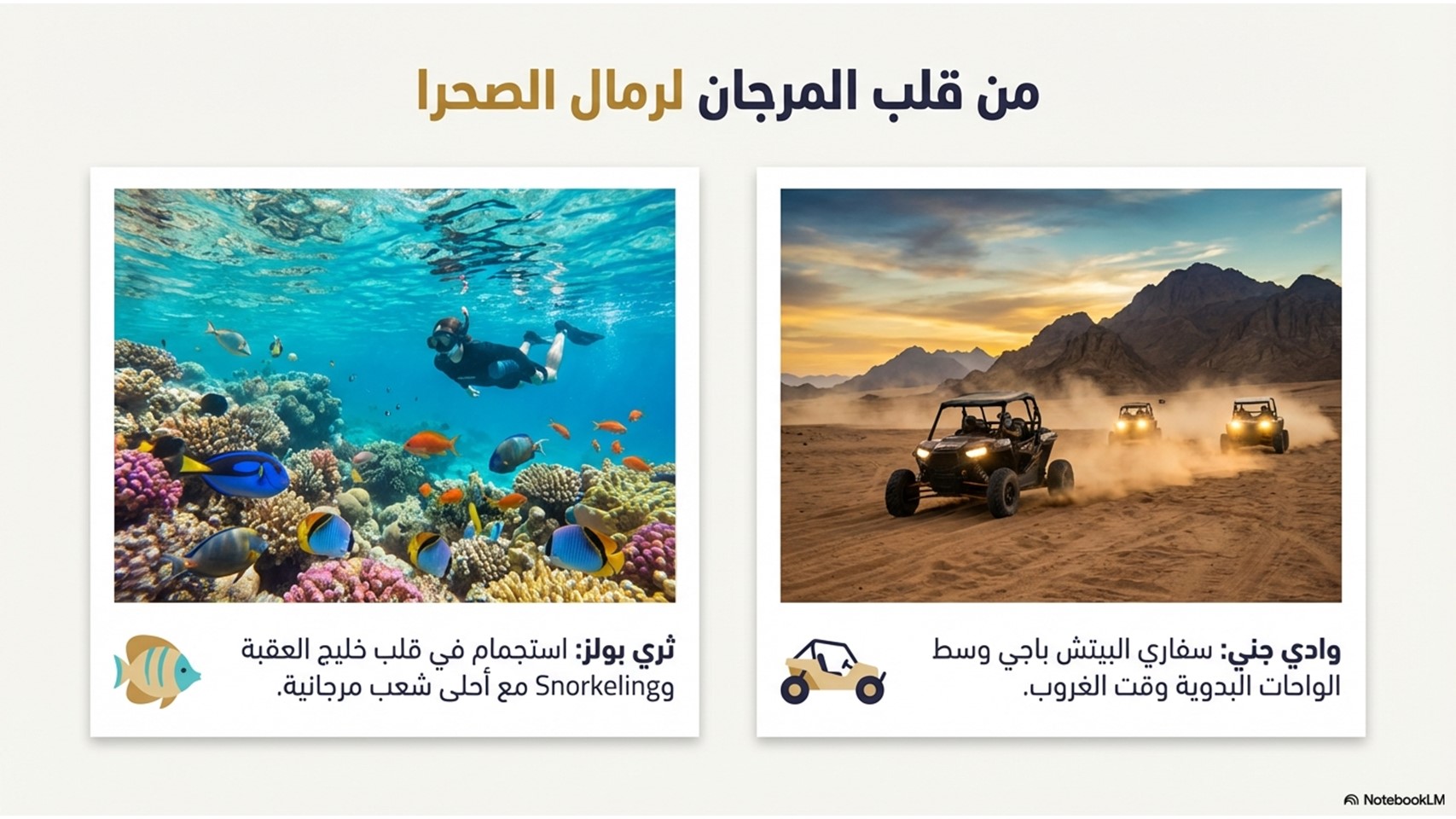 صورة الرحلة