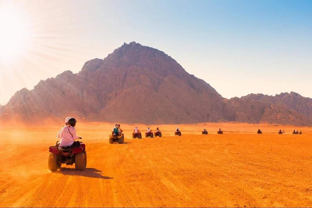 رحلة سوبر سفاري في مكادي باي – 7 ساعات من المغامرة والإثارة