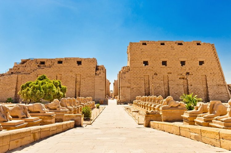 صورة الرحلة