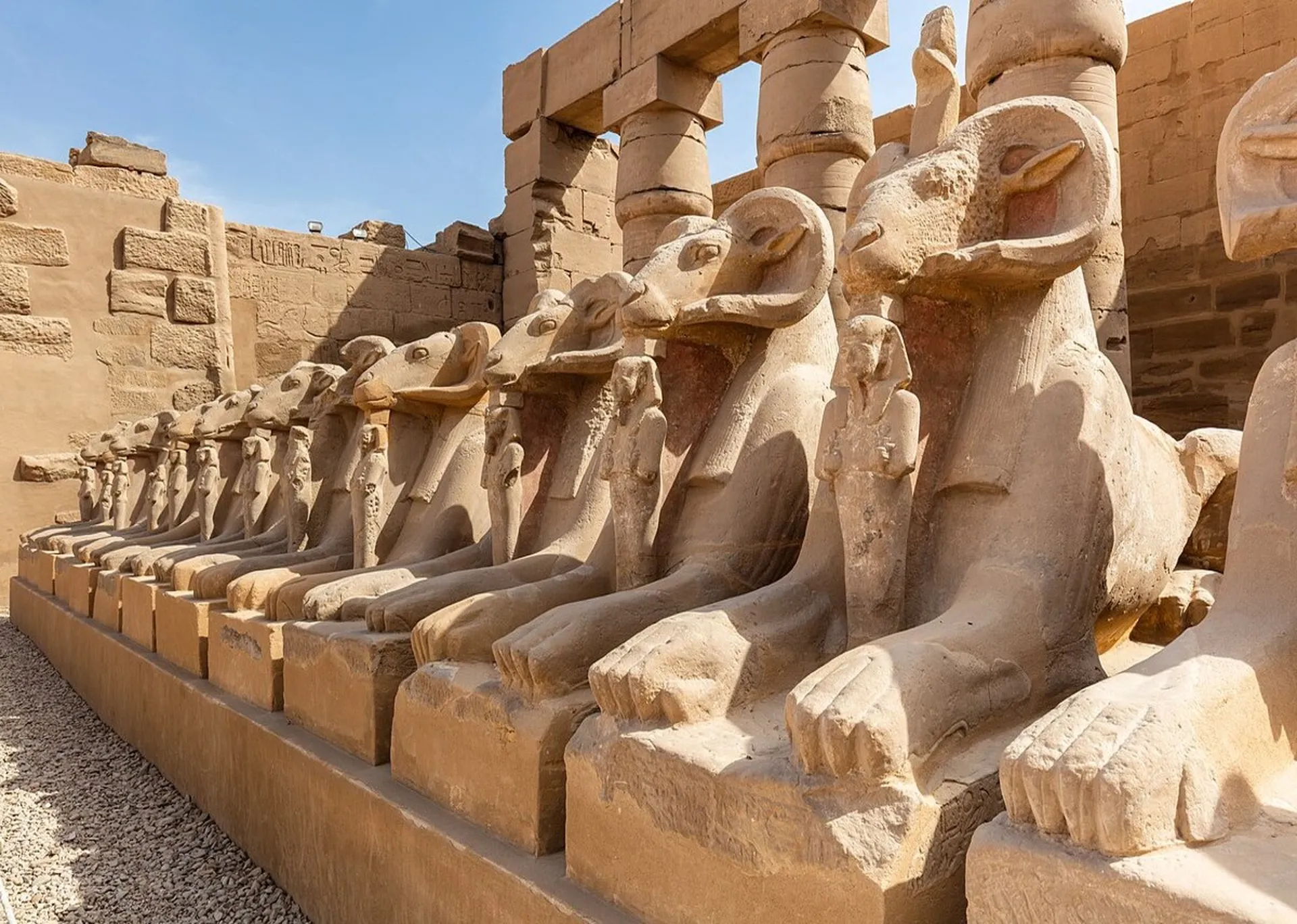 صورة الرحلة