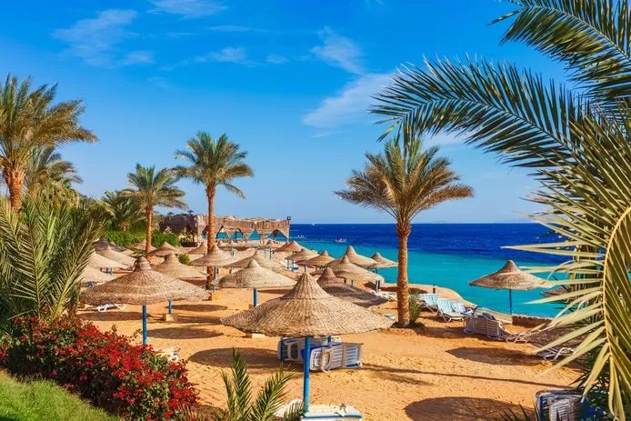 صورة الرحلة
