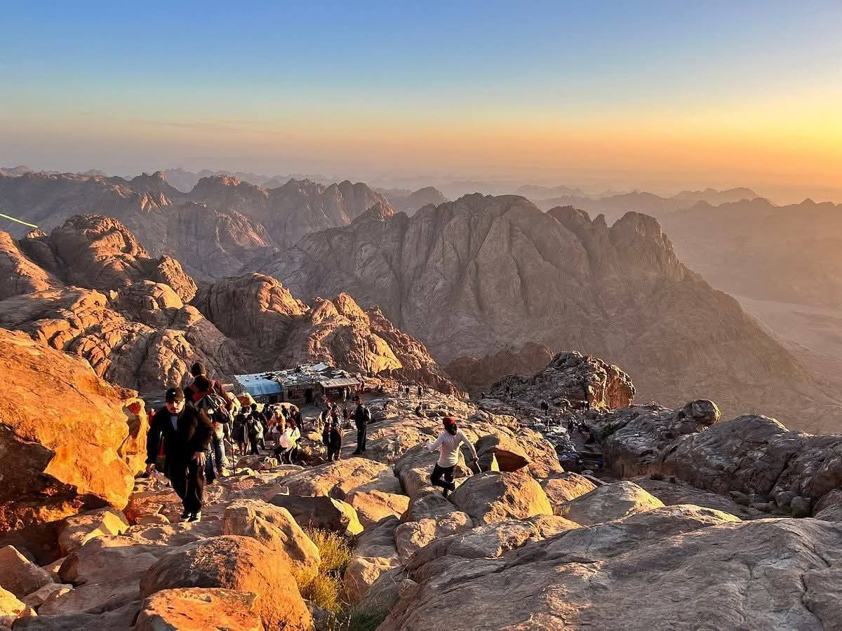 صورة الرحلة