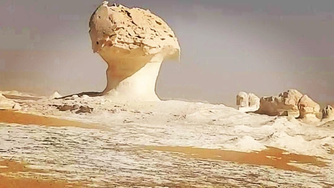صورة الرحلة
