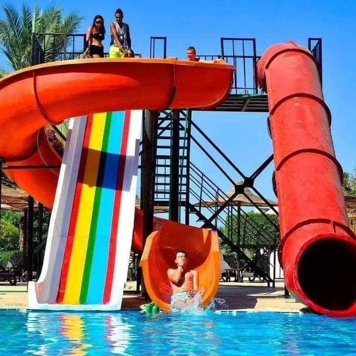 صورة الرحلة