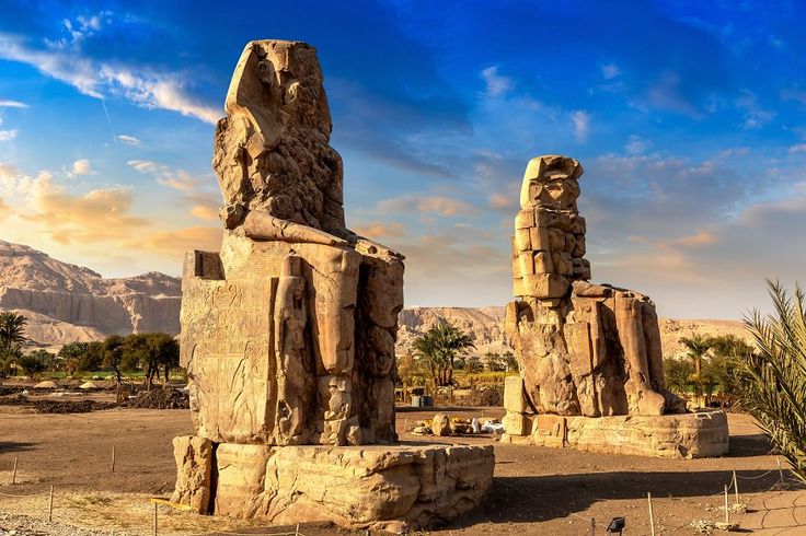 صورة الرحلة