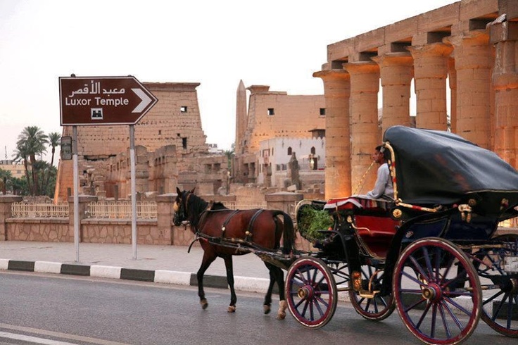 صورة الرحلة