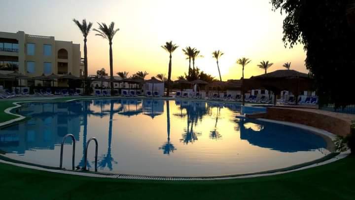صورة الرحلة