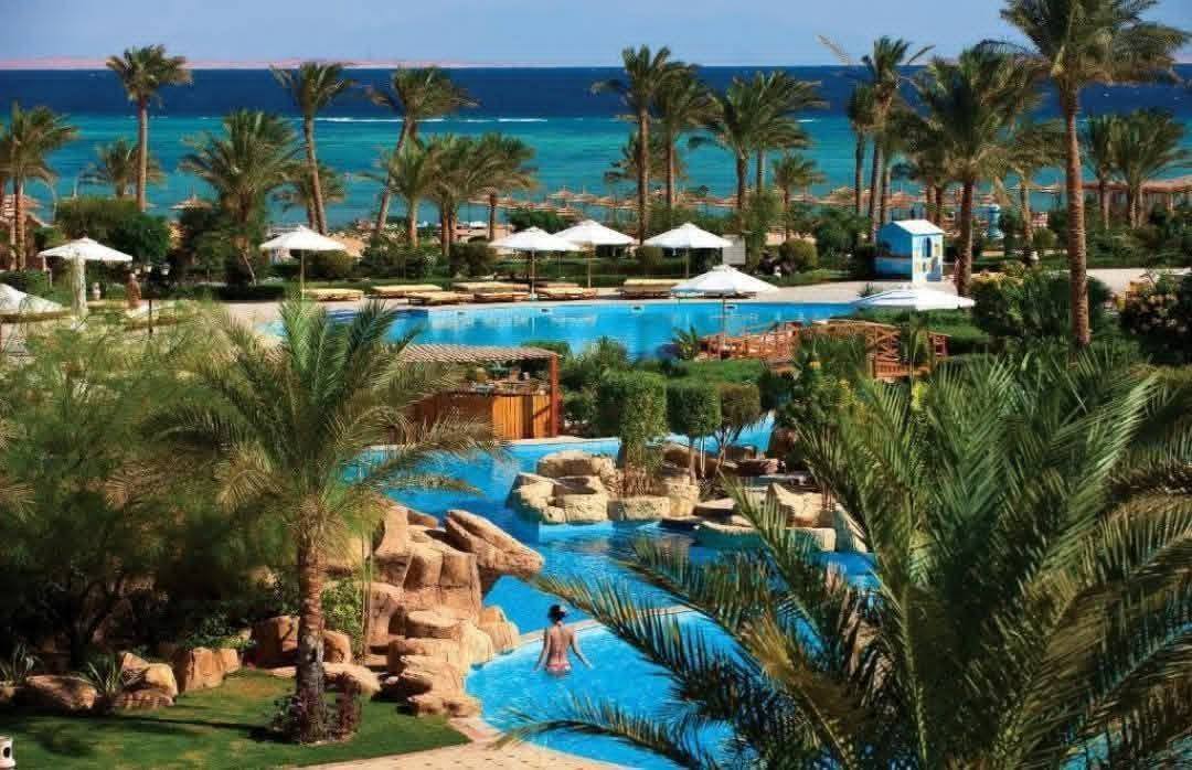 صورة الرحلة