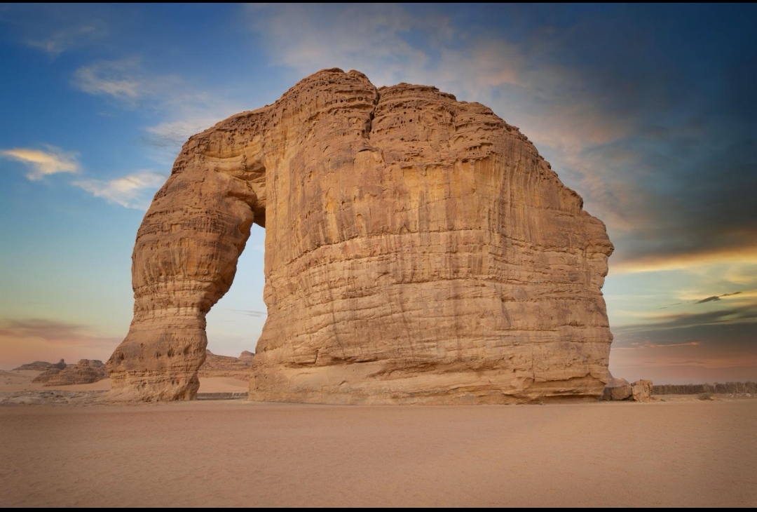 صورة الرحلة